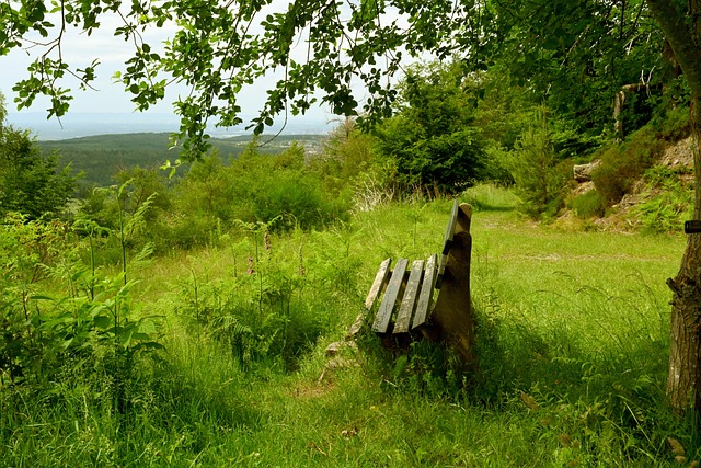 足的时间进 足的时间进