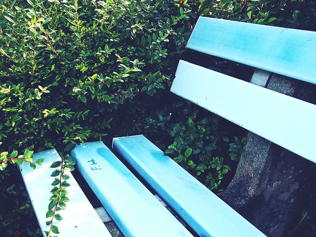 略调整的全 略调整的全