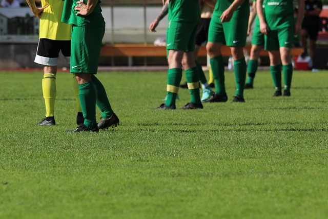 个核心因素 个核心因素