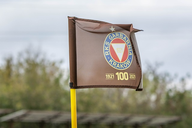 發了對裁判 發了對裁判