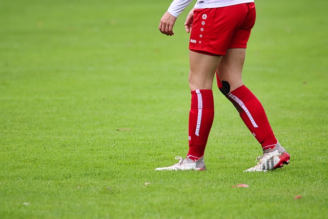 不禁让我们 不禁让我们