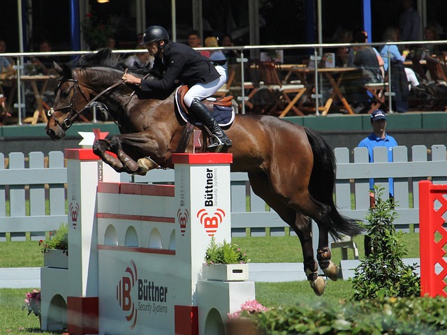 梅州必胜 梅州必胜